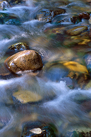 autumn serenade running stream water creek landscape