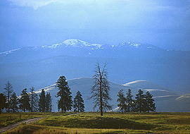 High Country mountain landscape montana mural