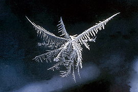ice angle frost spirit custom giclee
